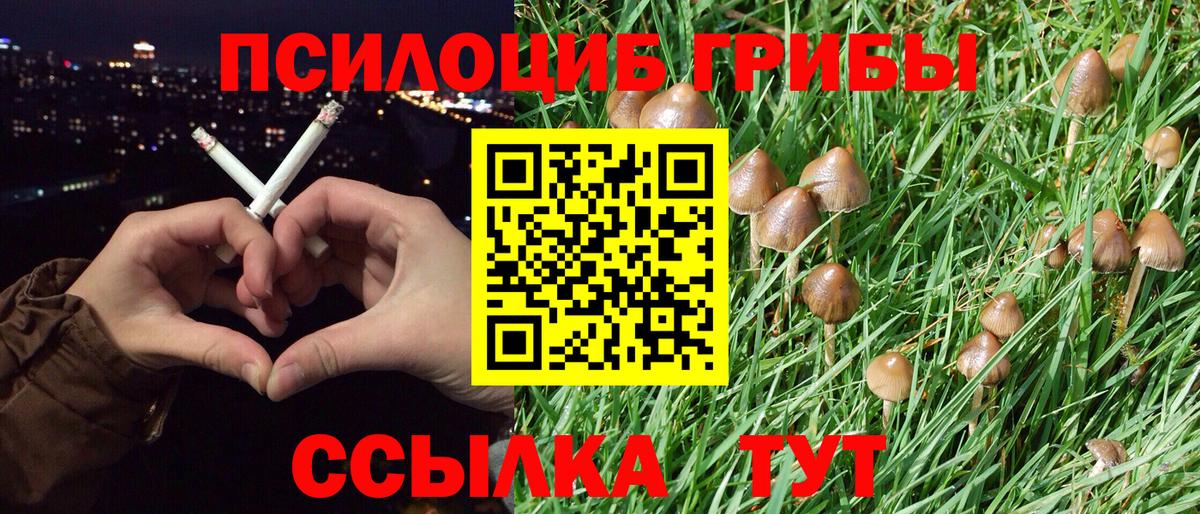 Галлюциногенные грибы MAGIC MUSHROOMS  Вход с VPN  Зима 
